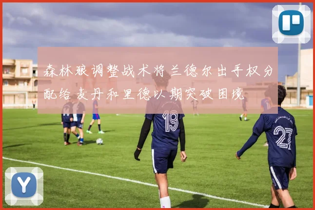 森林狼调整战术将兰德尔出手权分配给麦丹和里德以期突破困境